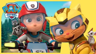 PAW Patrol and Cat Pack Rescues 🐈🎡| PAW Patrol Compilation | Cartoons for Kids
