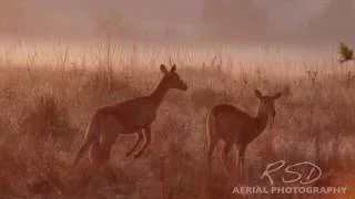 Akabashi Campsite and Bar - Chingola, Zambia