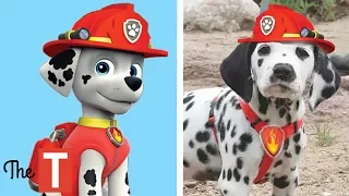 10 PAW PATROL Dogs In Real Life