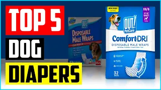 Top 5 Best Dog Diapers In 2022 Review