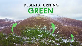 Scotland's Deserts are Turning Green - here's why