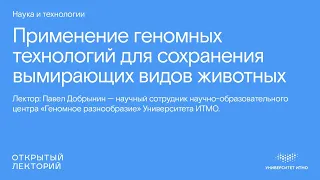 Павел Добрынин, «Применение геномных технологий для сохранения вымирающих видов животных»