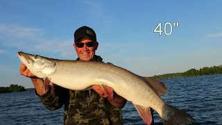 Lake Vermilion Muskie Fishing 2018