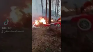 En algunos sitios, así se apagan los incendios forestales. ¡Con sopladora! #BomberosForestales