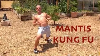 Praying Mantis Kung Fu - AMAZING KATA