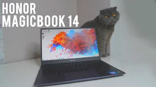 Honor MagicBook 14. Ноутбук, который вы купите.