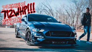 THIS 2019 MUSTANG GT SOUNDS LIKE A JET PLANE! *800 BHP!*  (FULL THROTTLE FLY-BYS!)