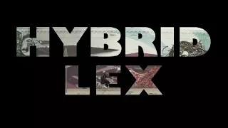 DJ Cavem - Hybrid Lex (Official Music Video)