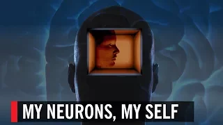 My Neurons, My Self