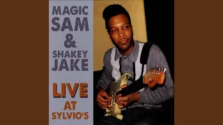 Magic Sam's Boogie (Live)