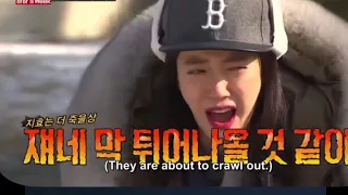 Song Jihyo protected by Running Man Oppas from scary Insects Ep. 337