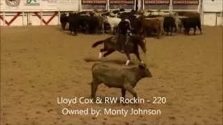 Lloyd Cox & RW Rockin's winning run in Open Classic Semi Finals