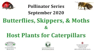 Caterpillar Host Plants and an Introduction to Butterflies, Skippers, and Moths: Pollinator Series