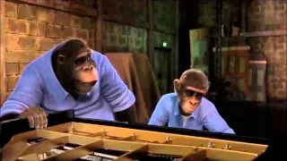 Monkey Symphony