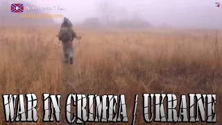 Никишино. Бой / Fight in Nikishino 07/11/14