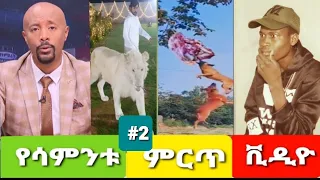 😂🤣😂TikTok Ethiopian Funny Videos Tik Tok & Vine video compilation part #2