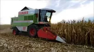 ☆ Kukurydza na ziarno 2015 ☆ Claas Dominator 98 VX ☆