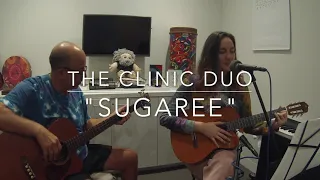 Dead Covers Project 2023  "Sugaree" by The Clinic Duo #deadcoversproject #deadcoversproject