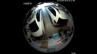 Reolink Fisheye.