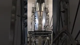 Fluidized Bed Granulator