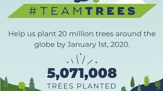 #TeamTree