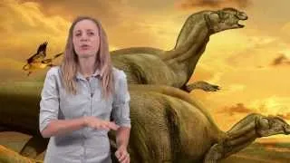 Dinosaur Myth Busted: Dinosaurs dragged their tails on the ground