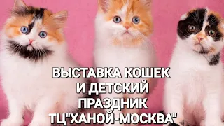 ВЫСТАВКА КОШЕК,ДЕТСКИЙ ПРАЗДНИК,КИТАЙСКИЙ НОВЫЙ ГОД В ТЦ "ХАНОЙ-МОСКВА"