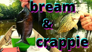 "Bream and Crappie on a beetle spin"