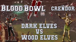 Blood Bowl 2 - Dark Elves (the Sage) vs Wood Elves (CRBoys) - Crendor league G11