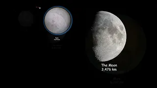 The Ultimate Star Size Comparison