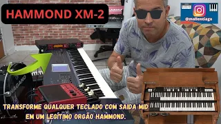 HAMMOND XM-2 (O MODULO DO ORGÃO HAMMOND FIEL AO ORIGINAL) FACTORY SOUNDS by TIAGO MALLEN #hammond