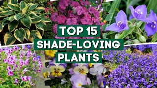 15 Shade-Loving Plants That Are Perfect For Your Garden! 👌🌿💚 // PlantDo Home & Garden