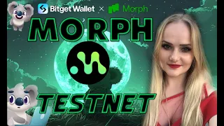 MORPH Testnet, как получить Airdrop от Morph, Обзор проекта Morph