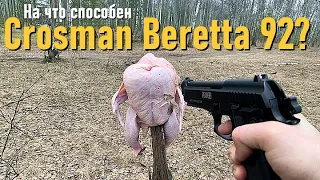 Crosman PFAM9B (Beretta) на что способна пневматика?