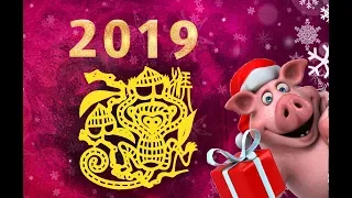 Прогноз для знака ОБЕЗЬЯНА на 2019 год