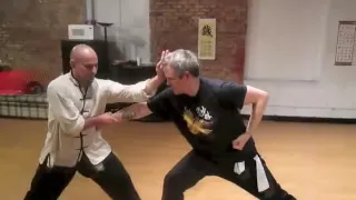 Form to Fighting: The Techniques of Eagle Claw Kung Fu — The Claw