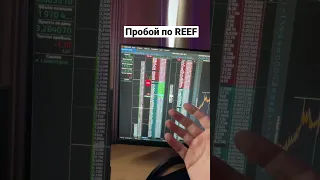 Пробой уровня по REEF