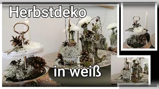 DEKOIDEE für den HERBST in WEIß/ DIY-IDEE/ ganz NATÜRLICH mit EDLER WIRKUNG