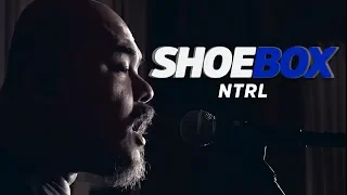NTRL Live at Shoebox Sessions | Shoebox #15