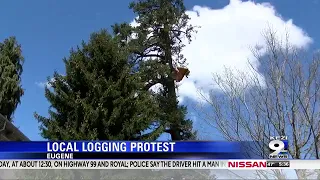 UO students protest logging practices' threat to climate change