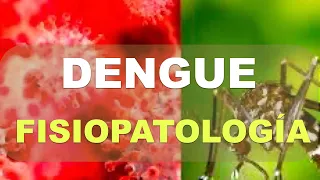 Fisiopatología del Dengue. ¿Por qué se produce la enfermedad?