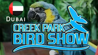 Creek Park Bird Show at Dubai Dolphinarium | Full Show Video | Top Dubai Attraction