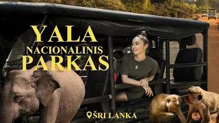 ŠRI LANKOS laukiniai GYVŪNAI I YALA SAFARIS