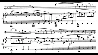 Brahms - Violin Sonata No.3 in D minor, 1st Mov. (piano accompaniment)