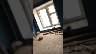 Взрыв дома в Сумах сегодня ⁄ 4.1.2017