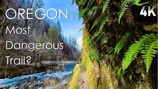 Hiking Eagle Creek, From First to Last Waterfall - No Talk, No Music, Just Nature. - 4K Virtual Hike