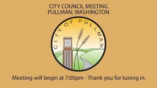 2020-11-10 City Council Meeting - RingCentral Live Broadcast