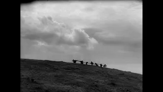 The Seventh Seal 1957 by Ingmar Bergman, “والموت الصارم يدعم رقصهم"