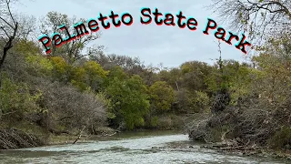 Palmetto State Park Campsite #13 Review And Other Campsites