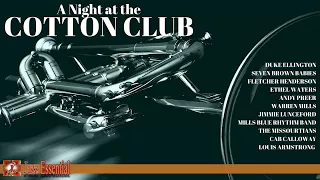 A Night at the Cotton Club | Duke Ellighton, Louis Armstrong, Cab Calloway...  | Jazz Music